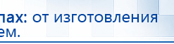 Электроды Скэнар -  двойной овал 55х90 мм купить в Ульяновске, Электроды Скэнар купить в Ульяновске, Медицинская техника - denasosteo.ru
